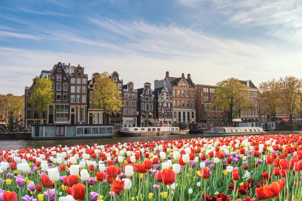 Amsterdam,netherlands,,city,skyline,dutch,house,at,canal,waterfront,with