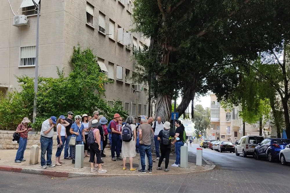 הליכות ג'יין חיפה