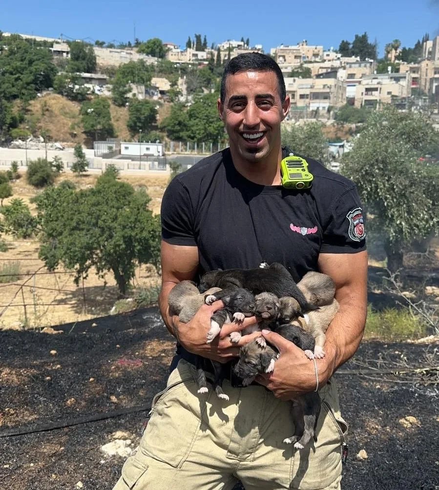 גורי הכלבים שחולצו מהשריפה במזרח ירושלים